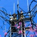 Elevating Readiness: Airmen Earn Climbing Certification