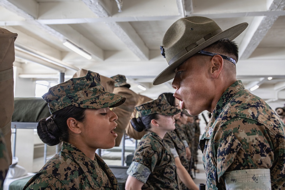 Golf Company Seriers Commander Inspection