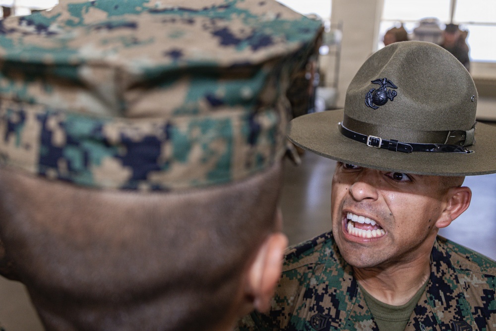 Golf Company Series Commander Inspection