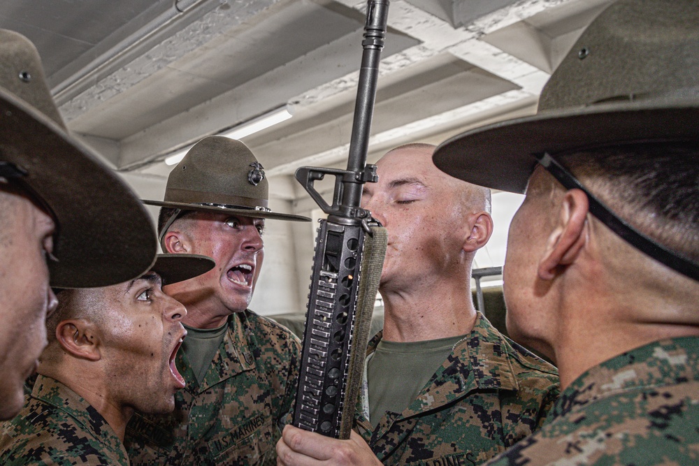 Golf Company Series Commander Inspection