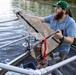 USACE Biologists Study Lake Sturgeon Spawning Below Carters Lake