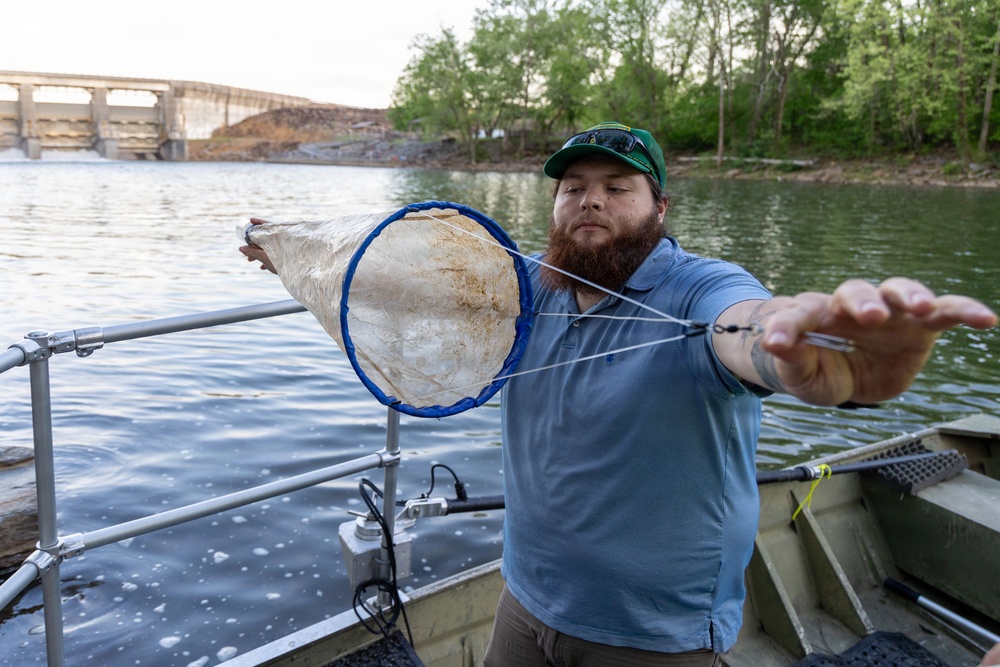 USACE Biologists Study Lake Sturgeon Spawning Below Carters Lake