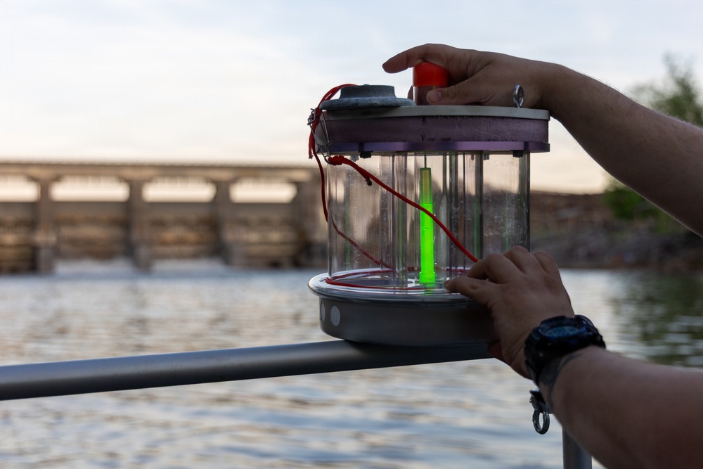 USACE Biologists Study Lake Sturgeon Spawning Below Carters Lake