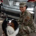 624th RSG Key Support Program strengthens community at 'Park and Puppies' event