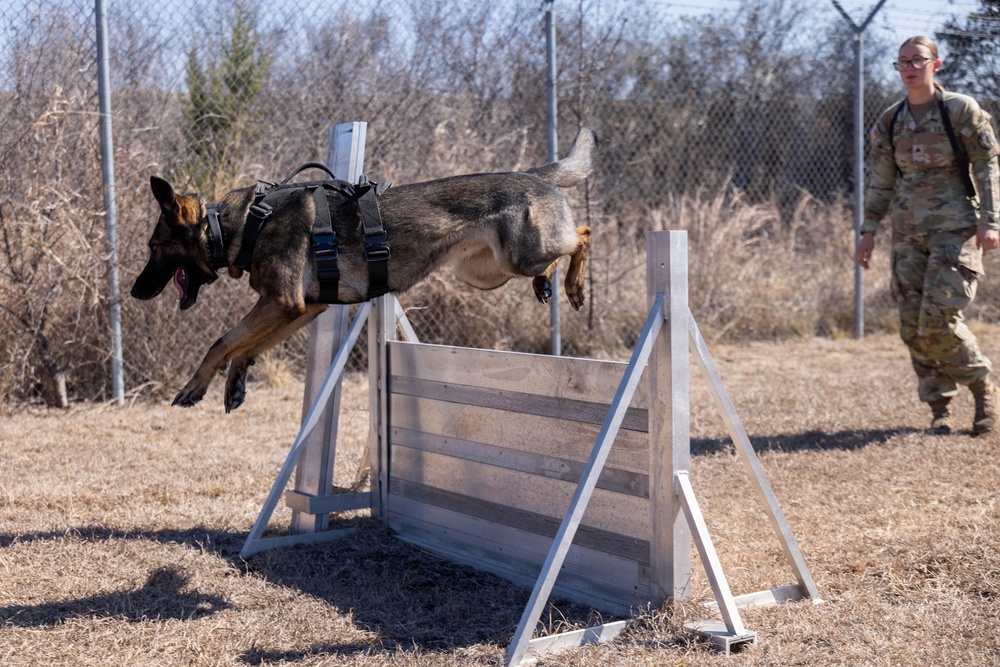 GREAT PEOPLE AT THE GREAT PLACE: Sgt. Samantha Wendt