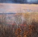 Spring prescribed burns renew training lands, ecosystems at Fort McCoy
