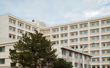 Construction Progress at CFAY