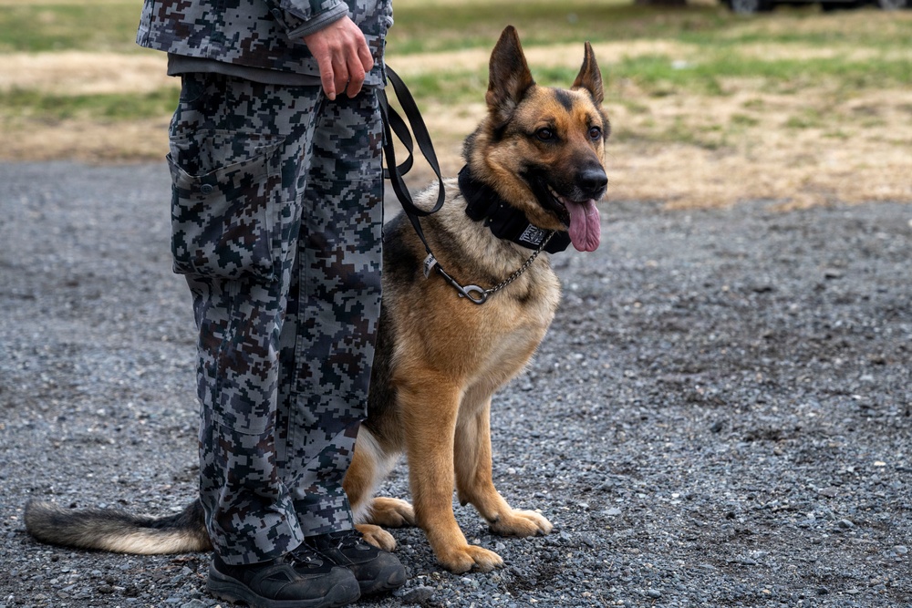 35th Security Forces Squadron conducts first joint bilateral K-9 exercise