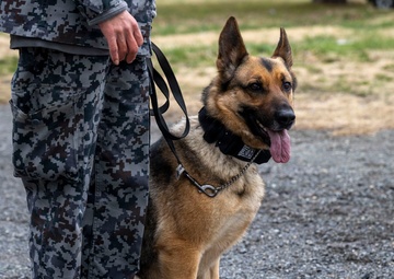 35th Security Forces Squadron conducts first joint bilateral K-9 exercise