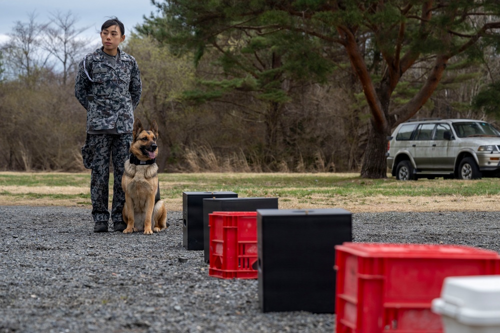 35th Security Forces Squadron conducts first joint bilateral K-9 exercise