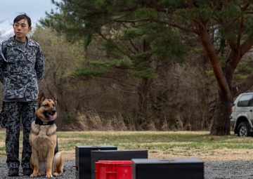 35th Security Forces Squadron conducts first joint bilateral K-9 exercise