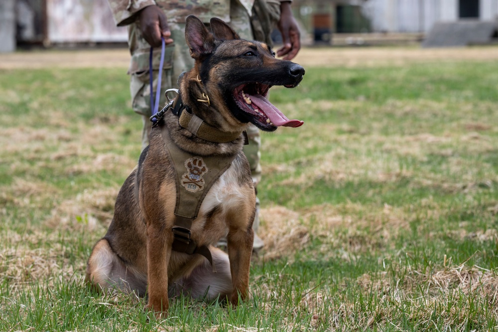 35th Security Forces Squadron conducts first joint bilateral K-9 exercise