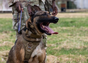 35th Security Forces Squadron conducts first joint bilateral K-9 exercise