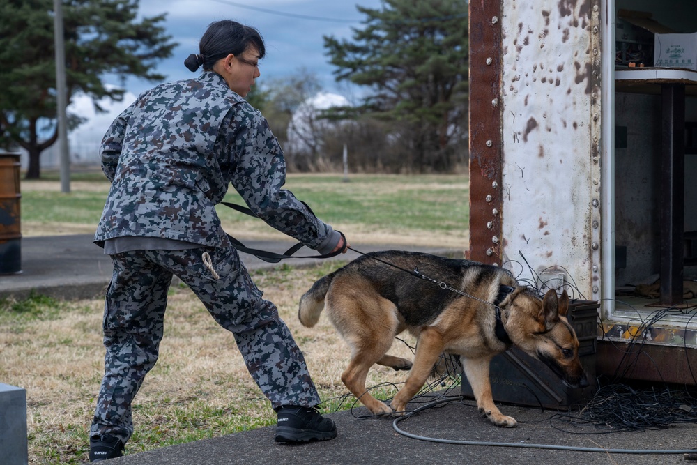 35th Security Forces Squadron conducts first joint bilateral K-9 exercise