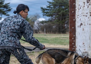 35th Security Forces Squadron conducts first joint bilateral K-9 exercise