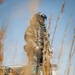 EOD IED Emergency Response Training