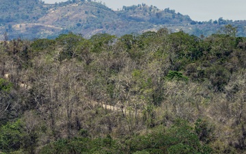 Tropic Lightning HIMARS Strike Builds Allied Readiness