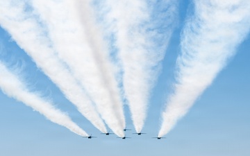 The Blue Angels return home