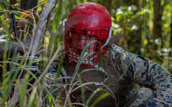 Communication Strategy and Operations Marines participate in field training exercise