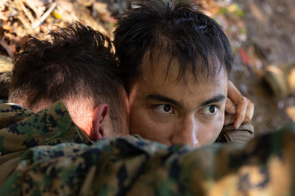 Communication Strategy and Operations Marines participate in field training exercise