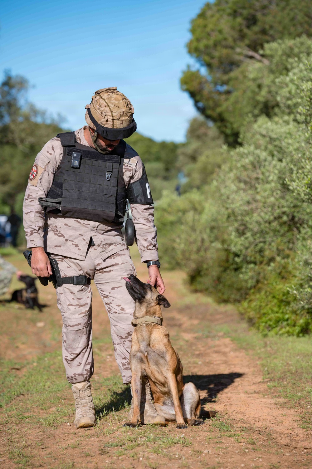 U.S. Navy Sailors and Spanish marines conduct military working dog training