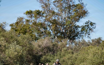 U.S. Navy Sailors and Spanish marines conduct military working dog training
