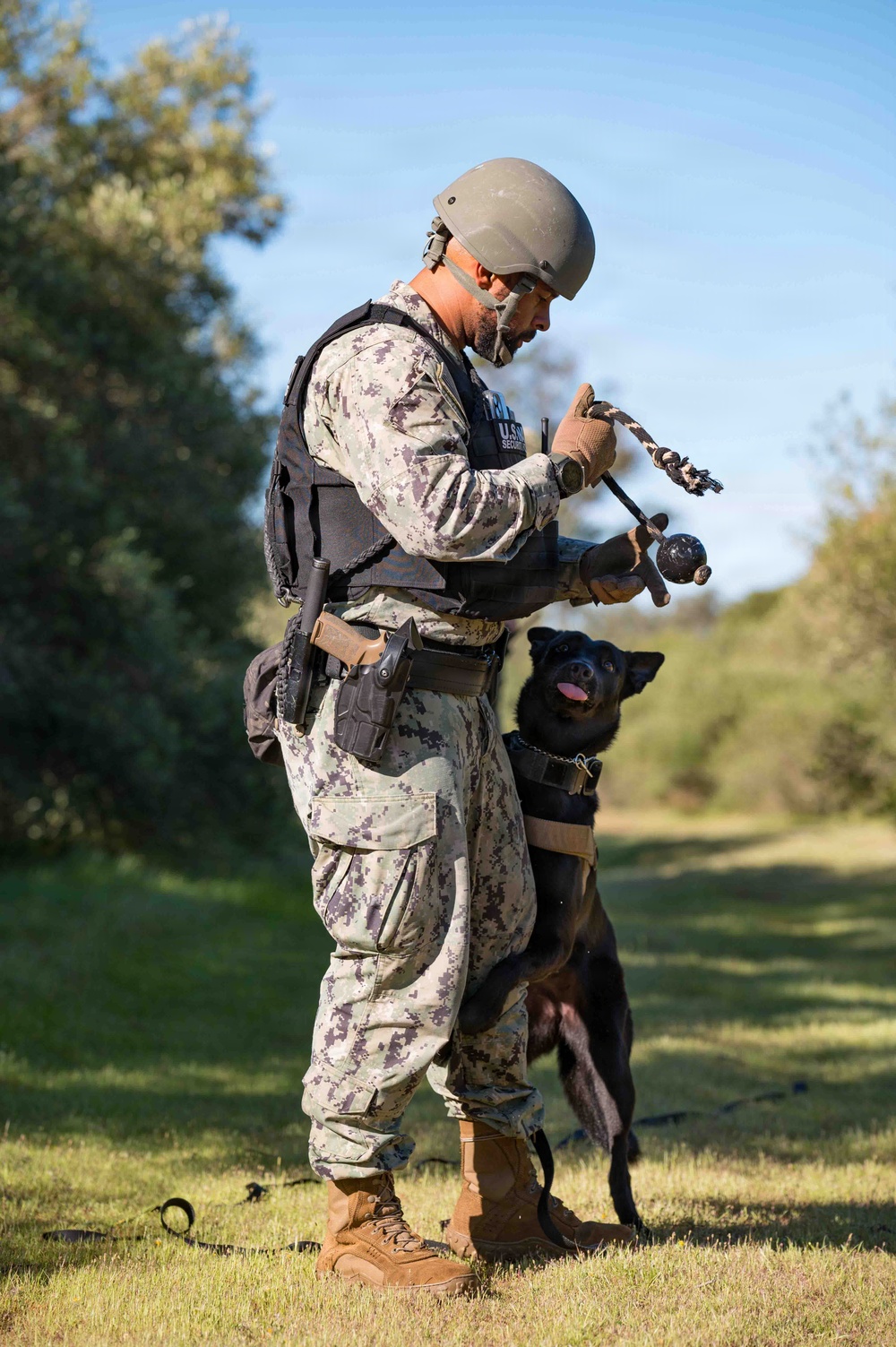 U.S. Navy Sailors and Spanish marines conduct military working dog training