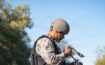 U.S. Navy Sailors and Spanish marines conduct military working dog training