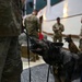 Furry Fighters: Military Working Dogs Howoard and Baily Retire