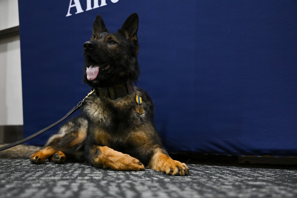 Furry Fighters: Military Working Dogs Howoard and Baily Retire