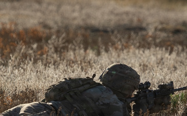 Own the Day, Dominate the Night: 10th SFG(A) and 4ID Train Without Limits