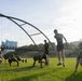U.S. Marines with 2nd MAW conduct a physical training event in Houston