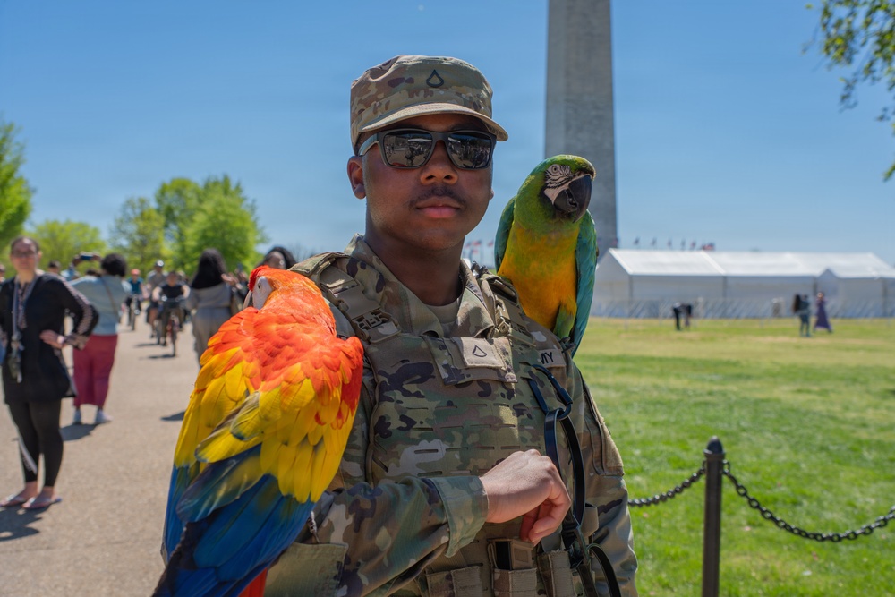 Mississippi National Guard Soldiers support the DC Safe Mission