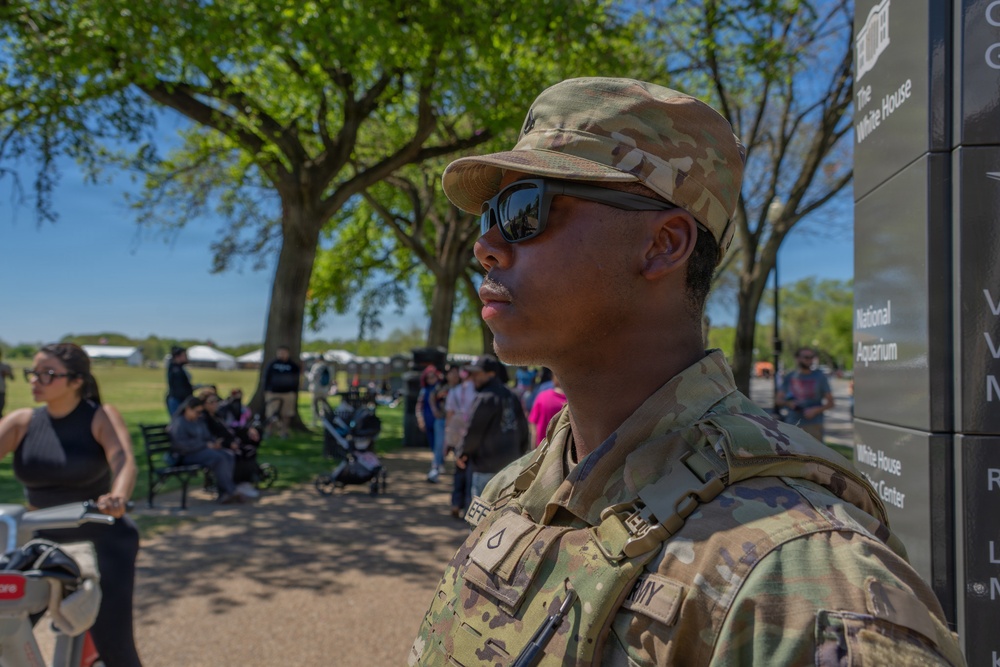 Mississippi National Guard Soldiers support the DC Safe &amp; Beautiful Mission