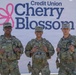 Mississippi National Guard Soldiers support the DC Safe &amp; Beautiful Mission