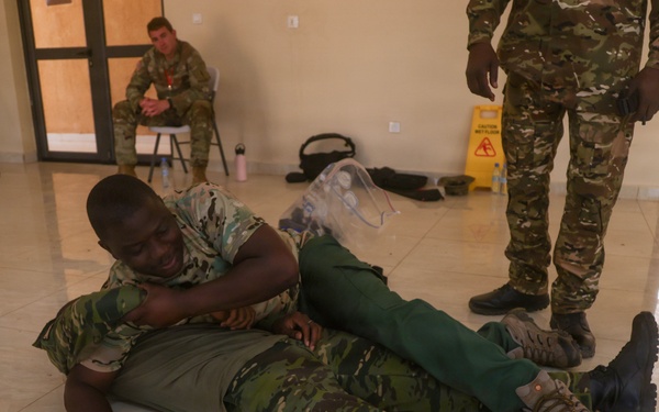 U.S. and Hungarian Service Members Host Tactical Combat Casualty Care Training for Ivorian and Dutch Service Members