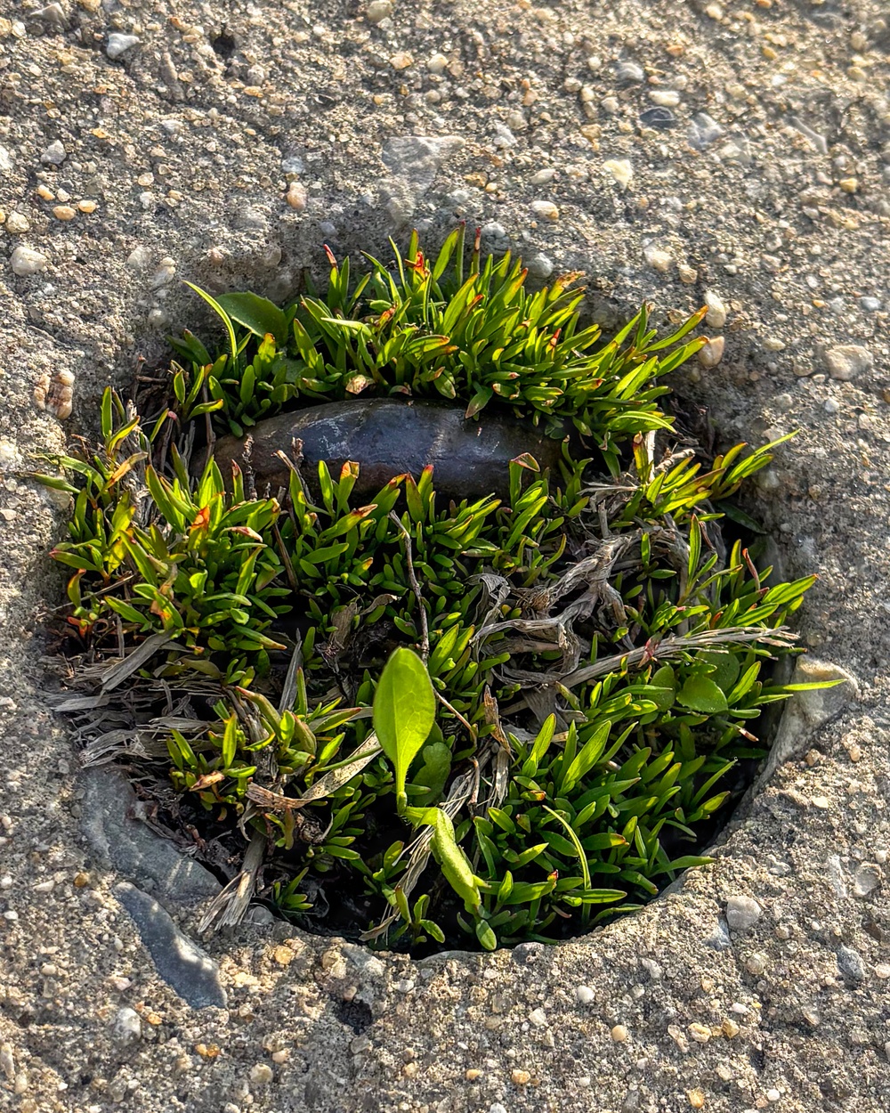 177th Fighter Wing Conducts Extensive Foreign Object Debris Cleaning as Part of their FOD Prevention Program