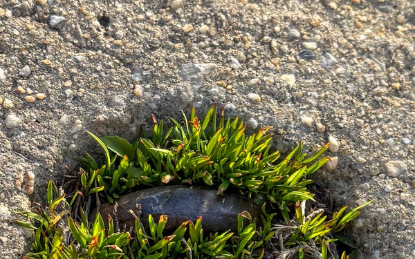 177th Fighter Wing Conducts Extensive Foreign Object Debris Cleaning as Part of their FOD Prevention Program