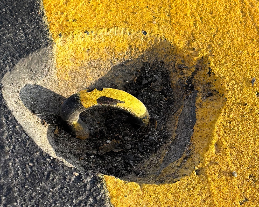177th Fighter Wing Conducts Extensive Foreign Object Debris Cleaning as Part of their FOD Prevention Program