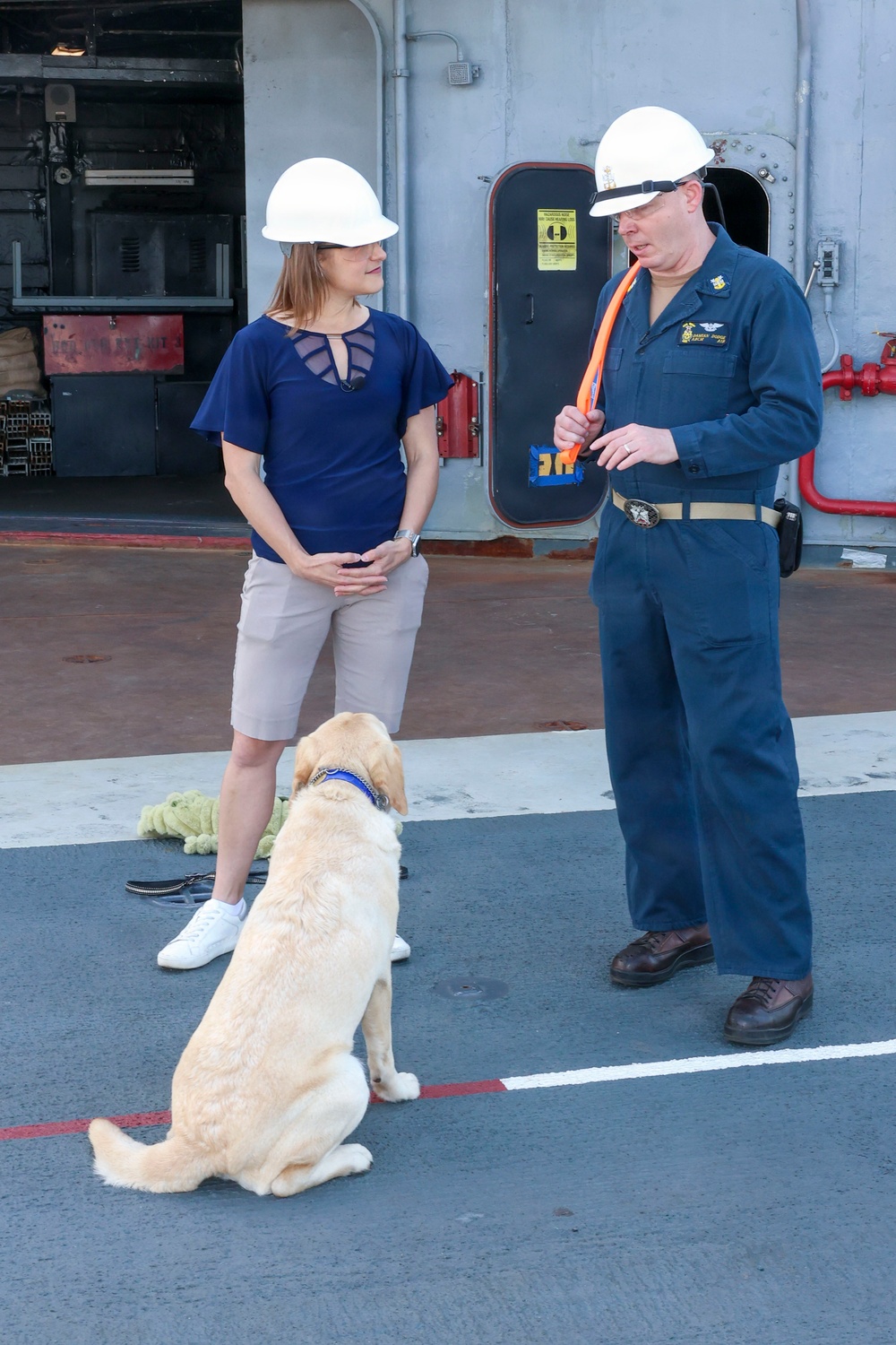 Wasp Hosts Scripps News