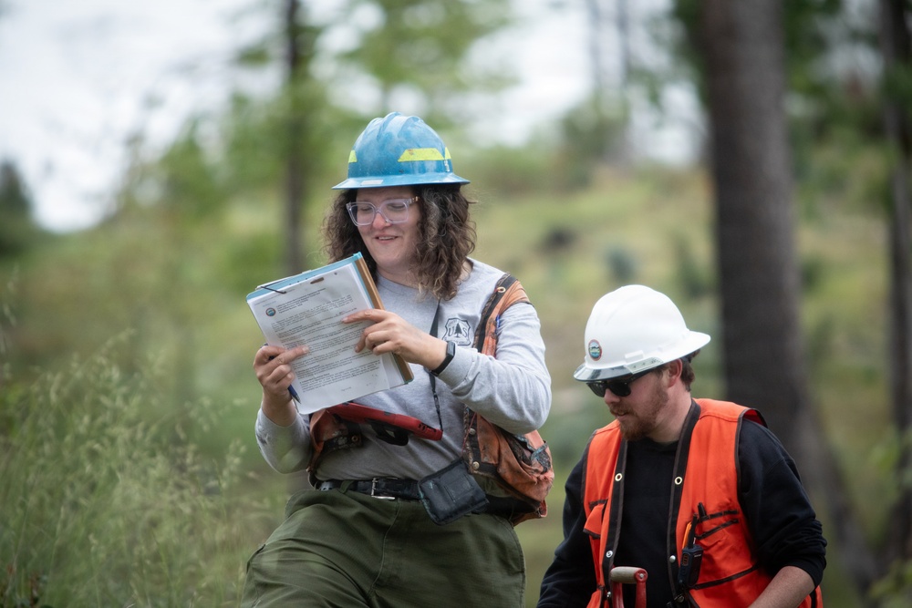 Reforestation Mendocino National Forest