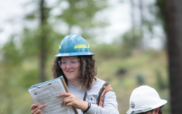 Reforestation Mendocino National Forest