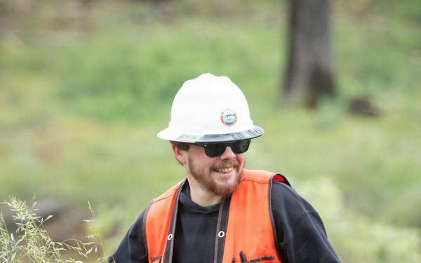 Reforestation Mendocino National Forest