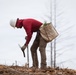 Reforestation Mendocino National Forest