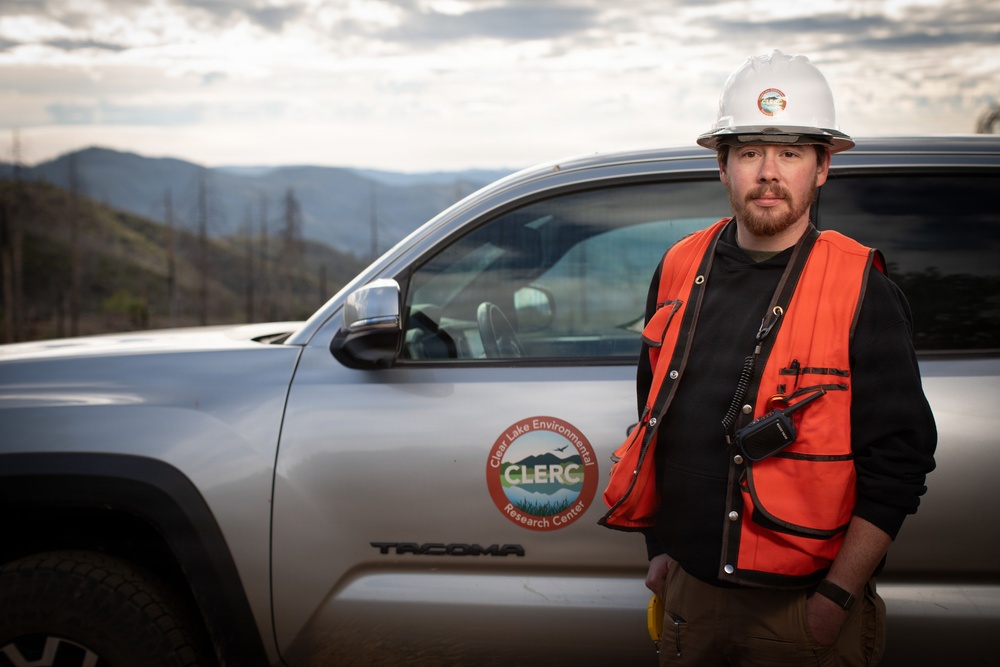 Reforestation Mendocino National Forest