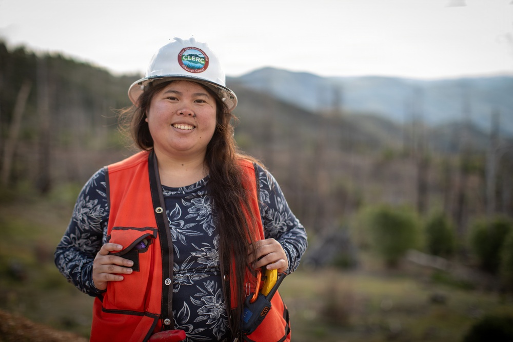 Reforestation Mendocino National Forest