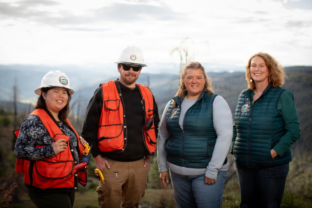 Reforestation Mendocino National Forest
