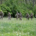 Airmen from the 113th Contingency Response Squadron practice land navigation at Camp Atterbury Joint Maneuver Training Center