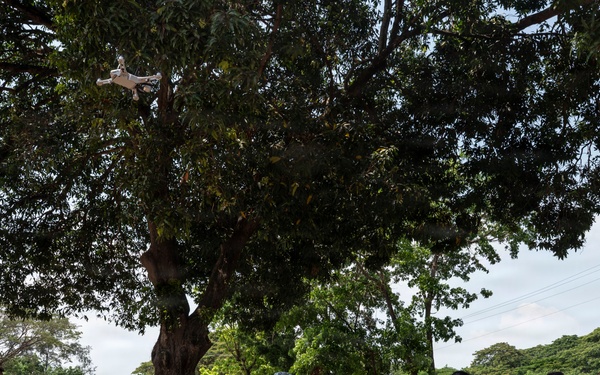 USAF-Philippine Air Force Conduct Counter Drone Training