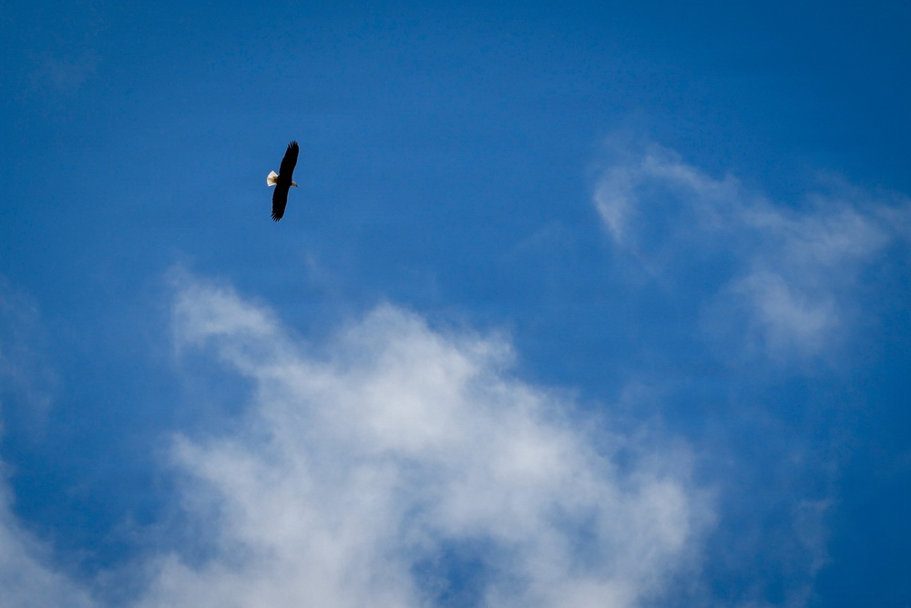 Army, Air Force, and Allied Forces compete for 2026 Best Warrior: Day 3